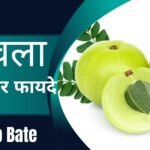 आंवला खाने के गुण, फायदे एवं उपयोग | Amla Health Benefits in Hindi